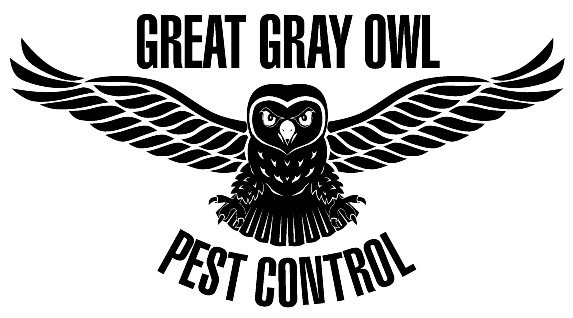 Great Gray Owl Pest Control